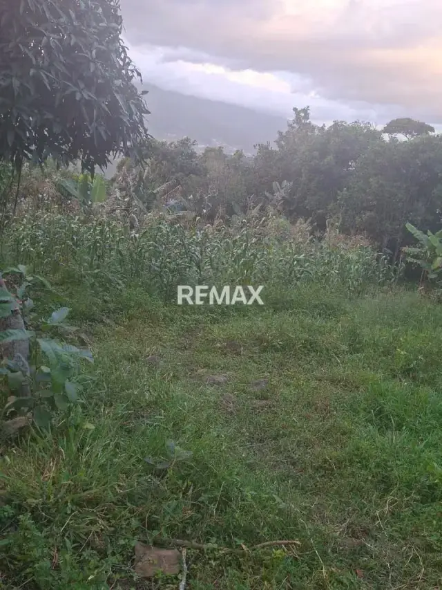 Se vende terreno en la laguna de palmira