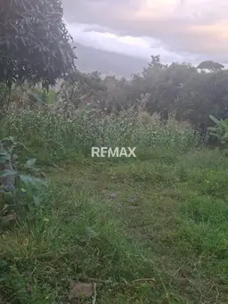 Vista 3