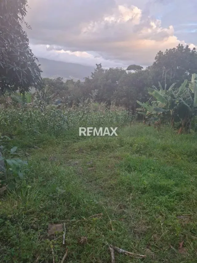 Se vende terreno en la laguna de palmira - 4