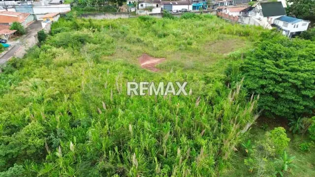 EN VENTA TERRENO Ubicado en Palo Gordo, Calle del Medio Municipio Cardenas estado Tachira - 6