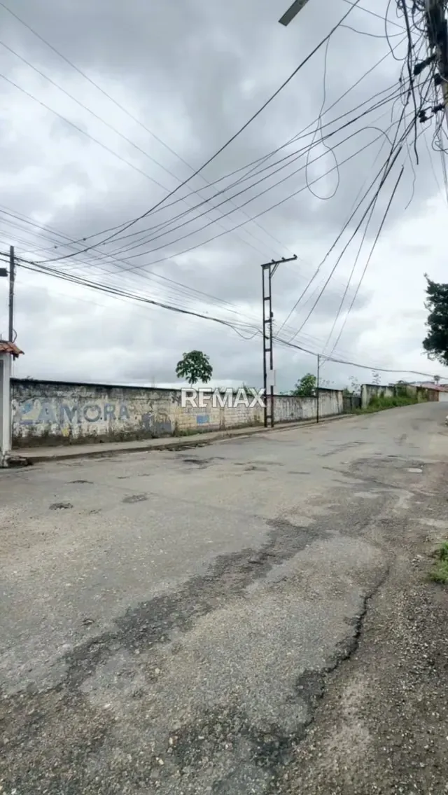 EN VENTA TERRENO Ubicado en Palo Gordo, Calle del Medio Municipio Cardenas estado Tachira - 10