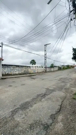 Vista 10