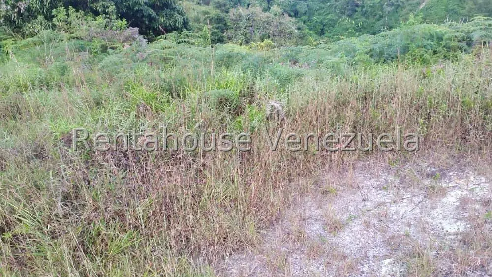 Terreno (Residencial) en Venta en La Tahona, Distrito Metropolitano - 5