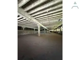 Vista 11