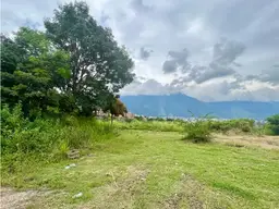 View 12