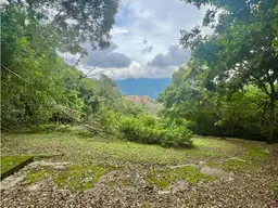 View 8