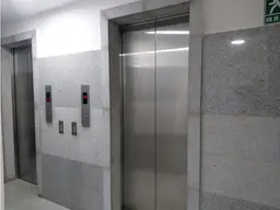 Vista 19