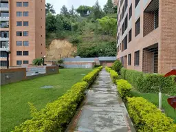Vista 10