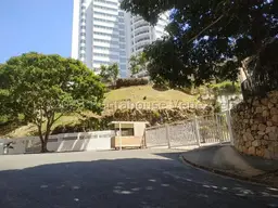Vista 24