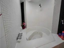 Vista 25