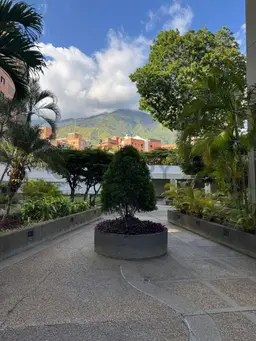 View 12