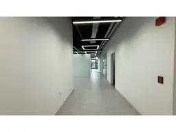Vista 5