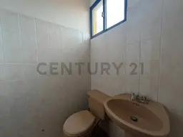 Vista 15