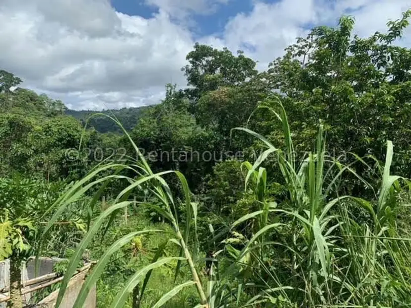 Terreno (Finca) en Venta en Gavilan, Distrito Metropolitano