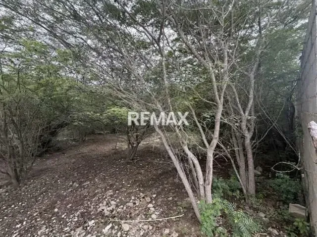 EN VENTA, TERRENO DE 2 HECTAREAS. Ubicado en Tucacas. - 11