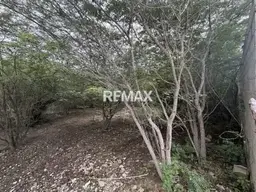 View 11