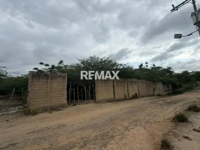 EN VENTA, TERRENO DE 2 HECTAREAS. Ubicado en Tucacas. - 12