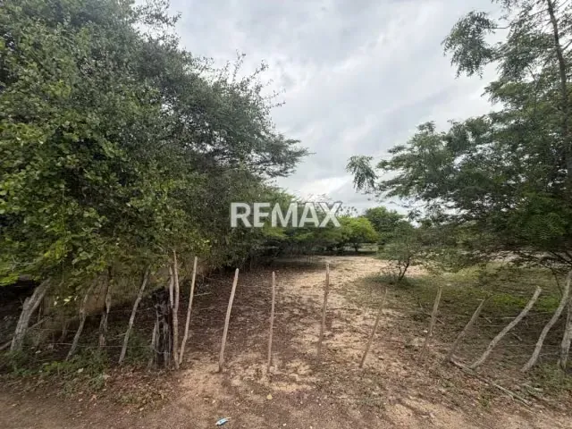 EN VENTA, TERRENO DE 2 HECTAREAS. Ubicado en Tucacas. - 4