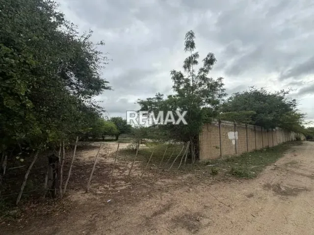 EN VENTA, TERRENO DE 2 HECTAREAS. Ubicado en Tucacas. - 5