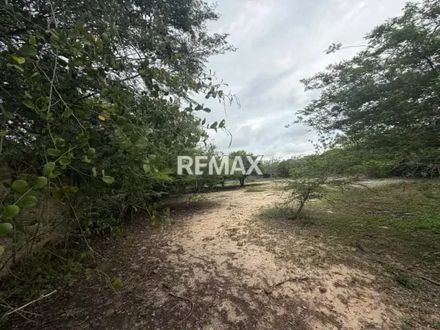 EN VENTA, TERRENO DE 2 HECTAREAS. Ubicado en Tucacas. - 6