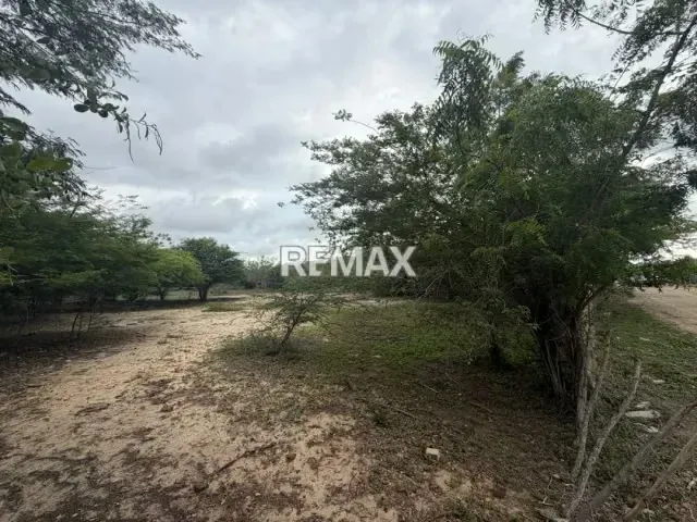 EN VENTA, TERRENO DE 2 HECTAREAS. Ubicado en Tucacas. - 7