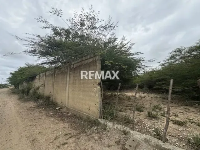 EN VENTA, TERRENO DE 2 HECTAREAS. Ubicado en Tucacas. - 9