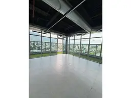 Vista 16