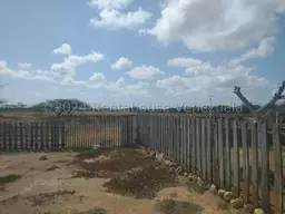 View 11