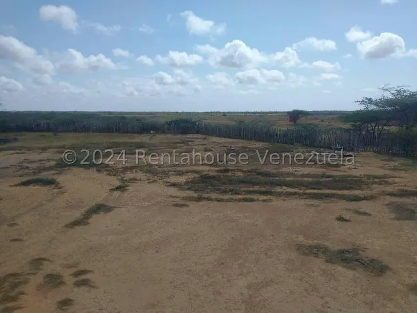 Terreno (Finca) en Venta en El Oasis, Falcon - 14