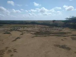 View 14