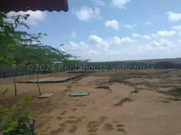 View 8