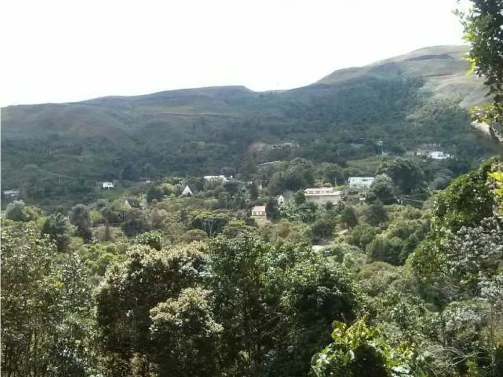Oferta Terreno se vende en LA NIEBLA - EL JUNQUITO 600mts2