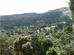 View 1