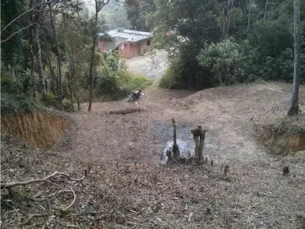 Oferta Terreno se vende en LA NIEBLA - EL JUNQUITO 600mts2 - 5