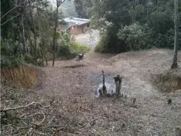 View 5