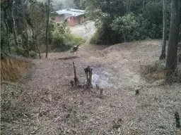 View 6