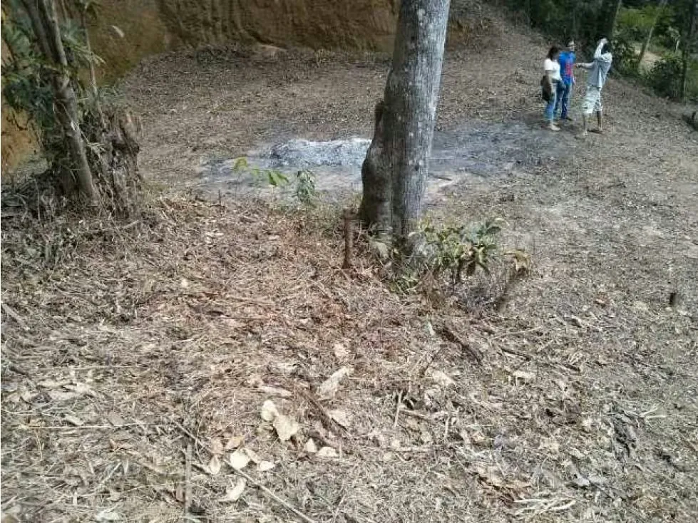 Oferta Terreno se vende en LA NIEBLA - EL JUNQUITO 600mts2 - 8