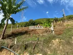View 6