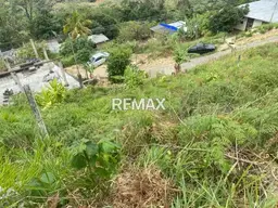 View 8