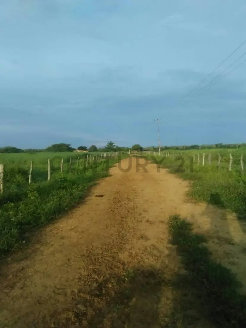 Se vende finca productiva con 188 hectareas con agua abundante,maquinarias