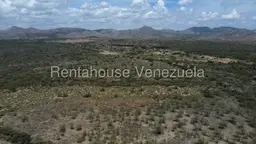 View 11