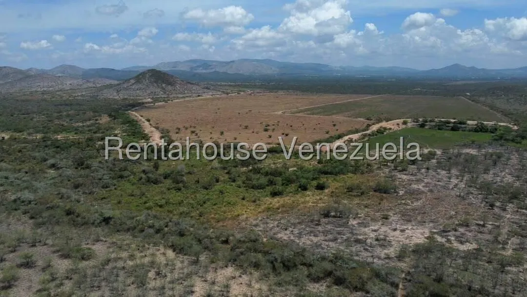 Terreno (Comercial) en Venta en Parroquia Juan de Villegas, Lara - 12