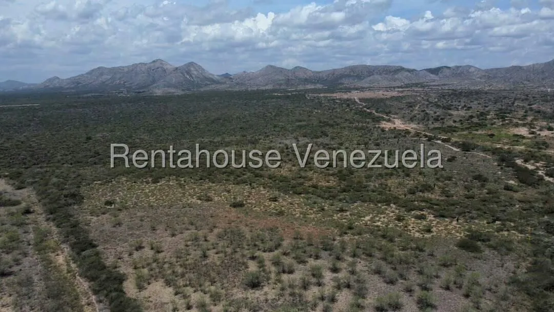Terreno (Comercial) en Venta en Parroquia Juan de Villegas, Lara - 14