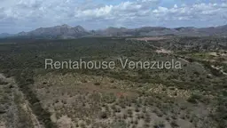View 14