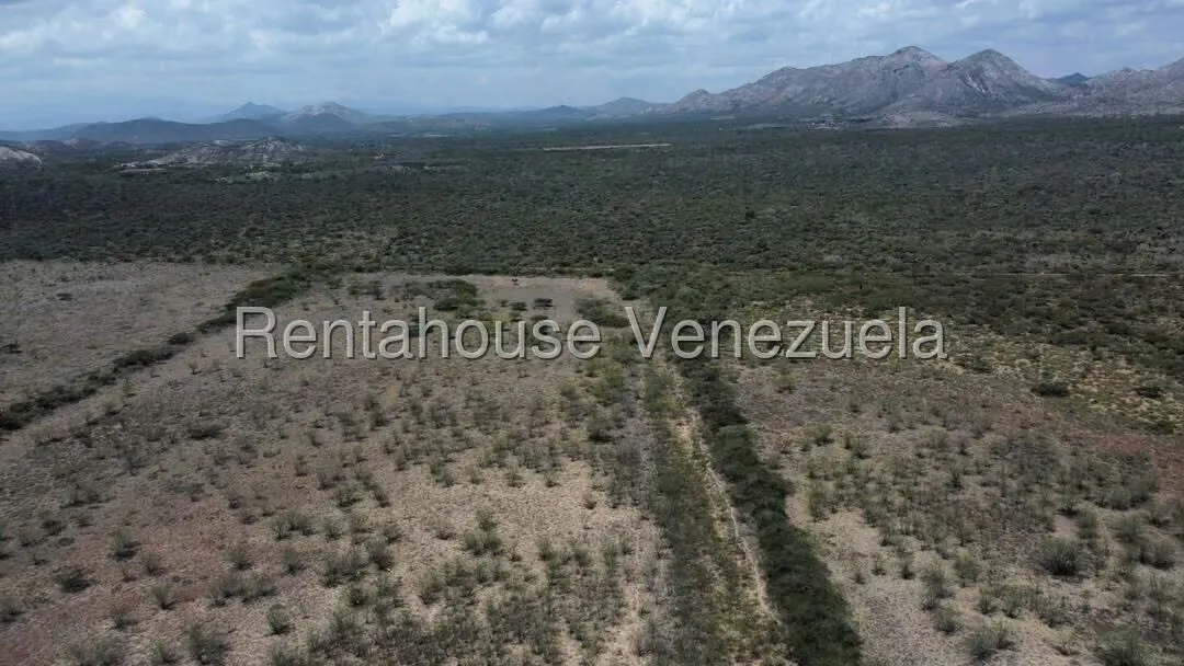 Terreno (Comercial) en Venta en Parroquia Juan de Villegas, Lara - 15