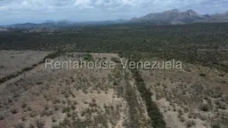 View 15