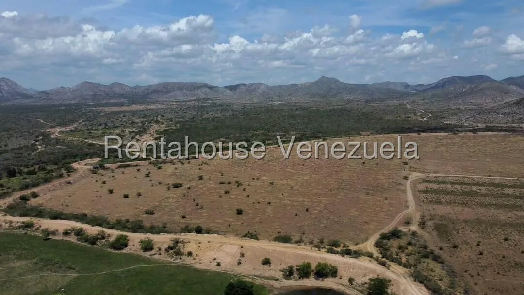 Terreno (Comercial) en Venta en Parroquia Juan de Villegas, Lara - 16