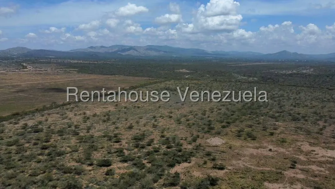 Terreno (Comercial) en Venta en Parroquia Juan de Villegas, Lara - 17
