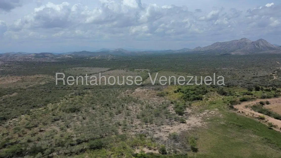 Terreno (Comercial) en Venta en Parroquia Juan de Villegas, Lara - 18