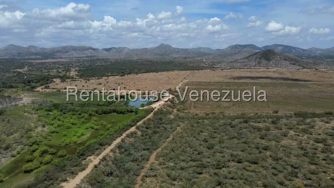 Terreno (Comercial) en Venta en Parroquia Juan de Villegas, Lara - 19